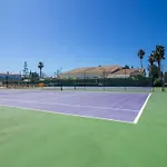 Palm View Escape *